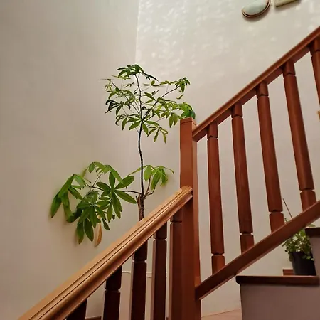 Delicias 3* Peraltilla