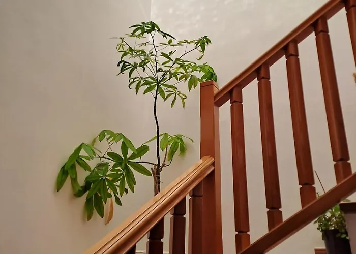 Delicias 3* Peraltilla