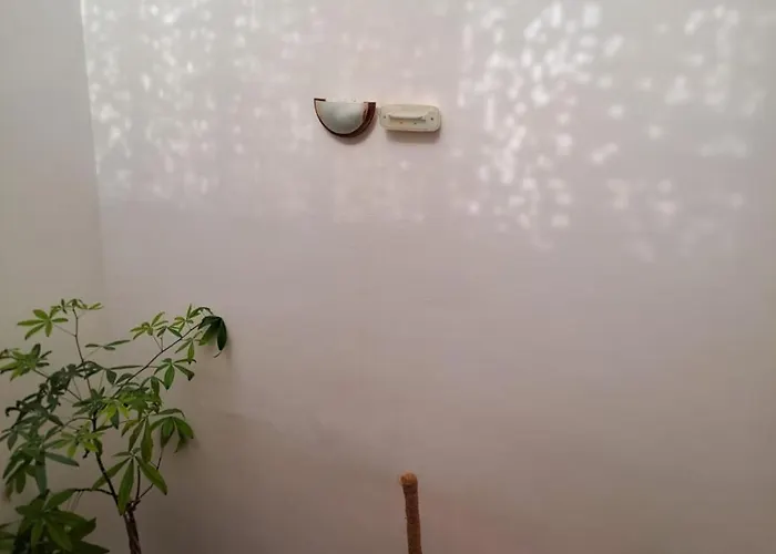 Pensionat Delicias 3*